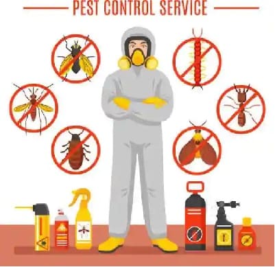 Nuxus Pest Control Service