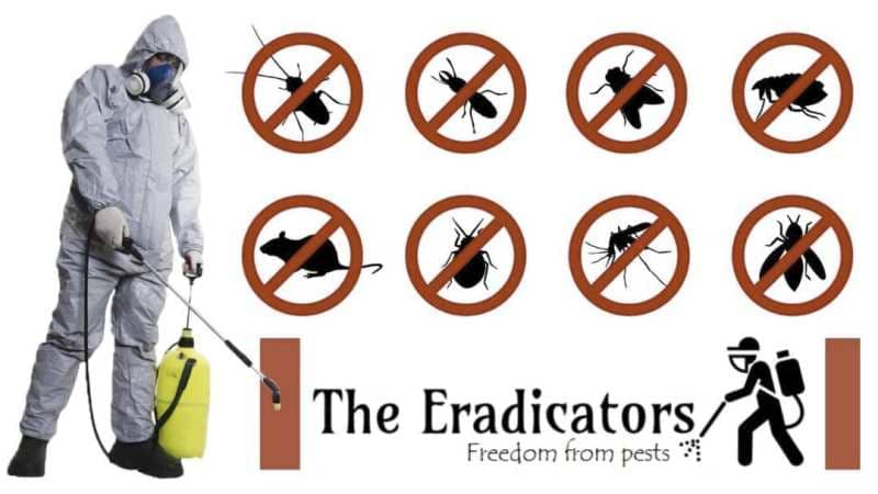 The Eradicators