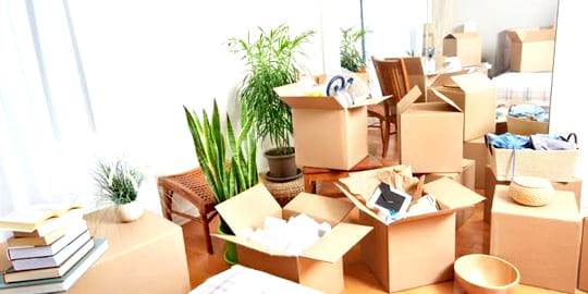 Packers And Movers Services Near Me Bangalore